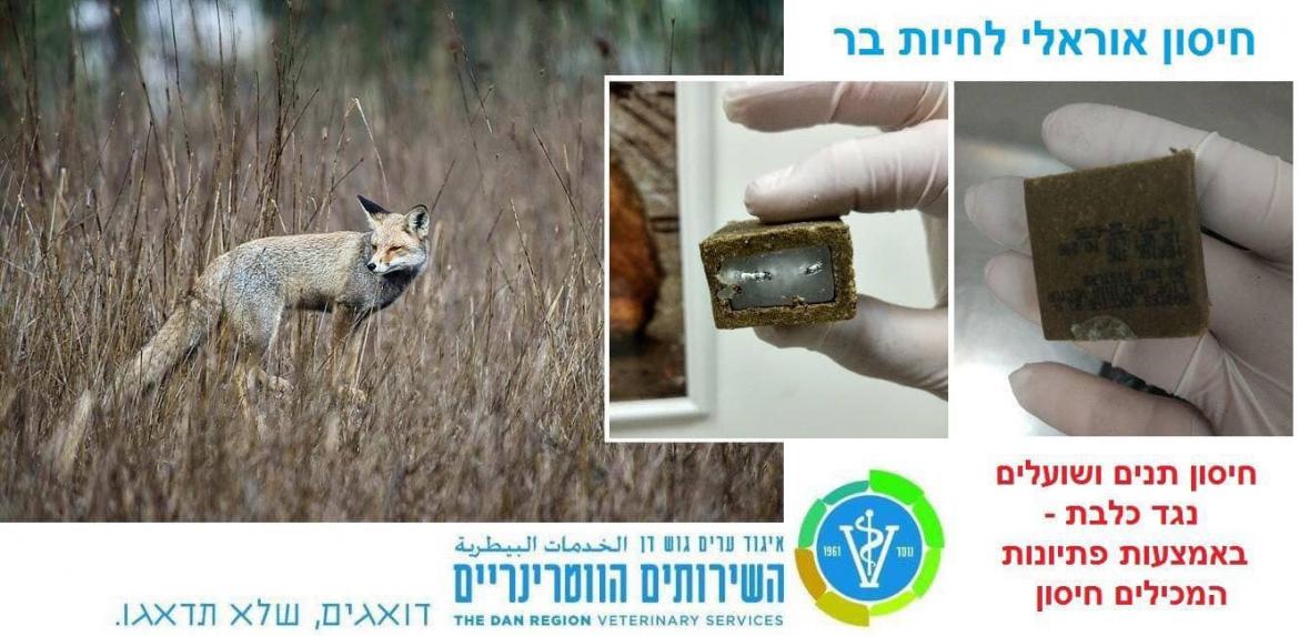 תמונה חיסון אוראלי לחיות בר