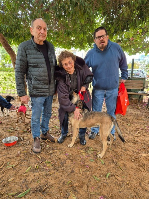 משפחות שאימצו כלב