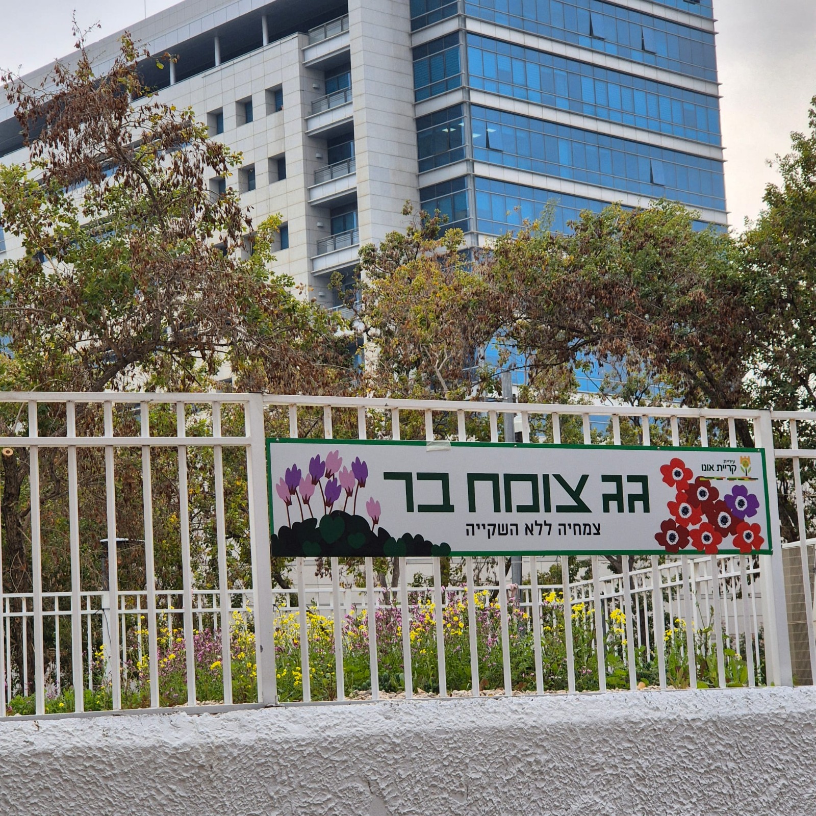  הגגות שהפכו לגינות פורחות