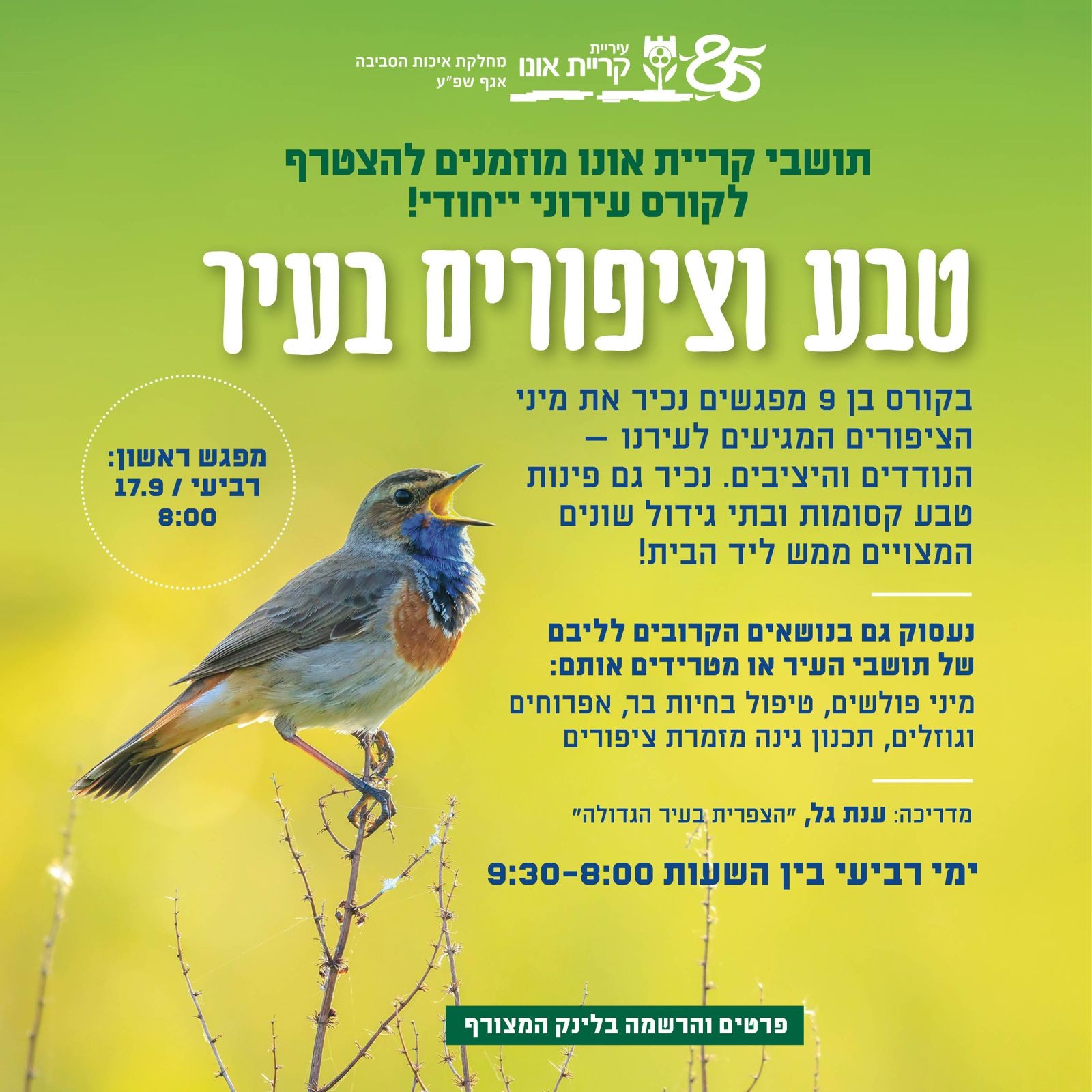 פלייר קהילת הציפורים העירונית