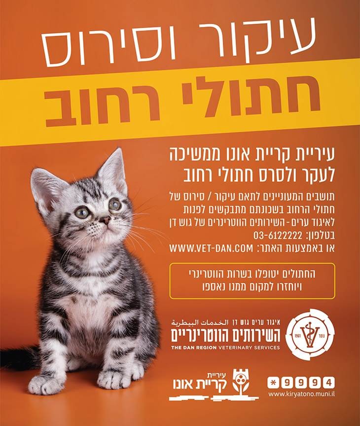 מבצע עיקור סירוס דואגים לחתולי הקהילה בשיתוף השירותים הוטרינריים גוש דן