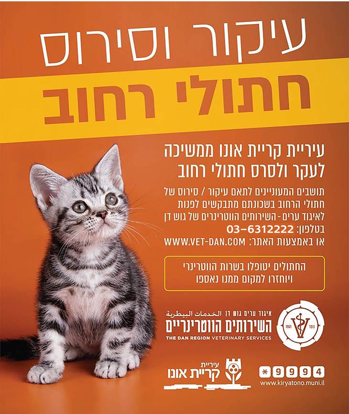 עיקור וסירוס חתולי הקהילה בעיר