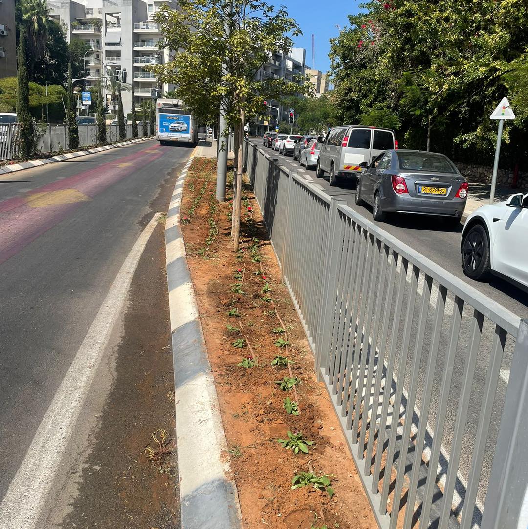 אלפי פרחים נשתלים והעירייה יוצאת למבצע היערכות מקיף