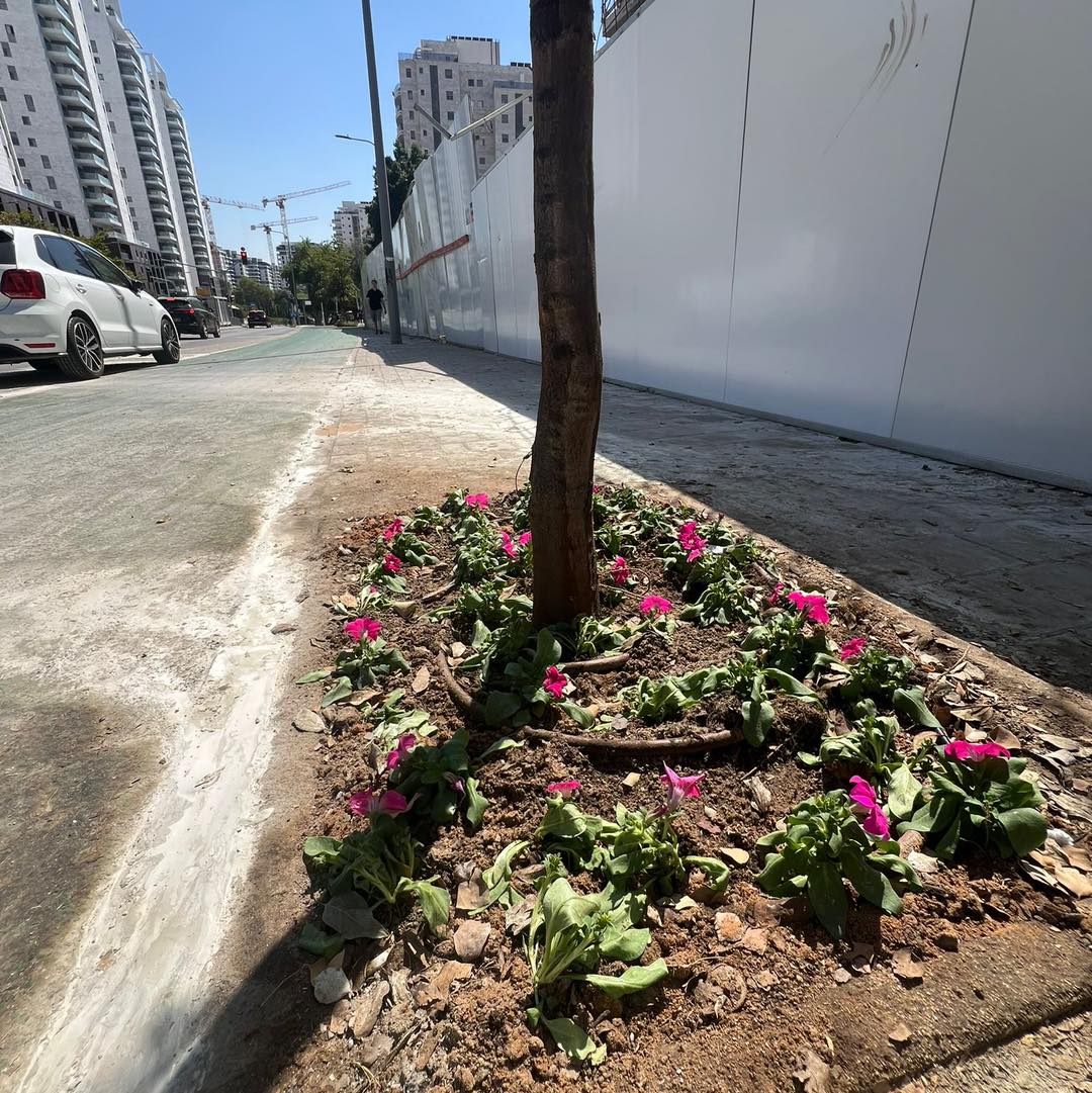 אלפי פרחים נשתלים והעירייה יוצאת למבצע היערכות מקיף