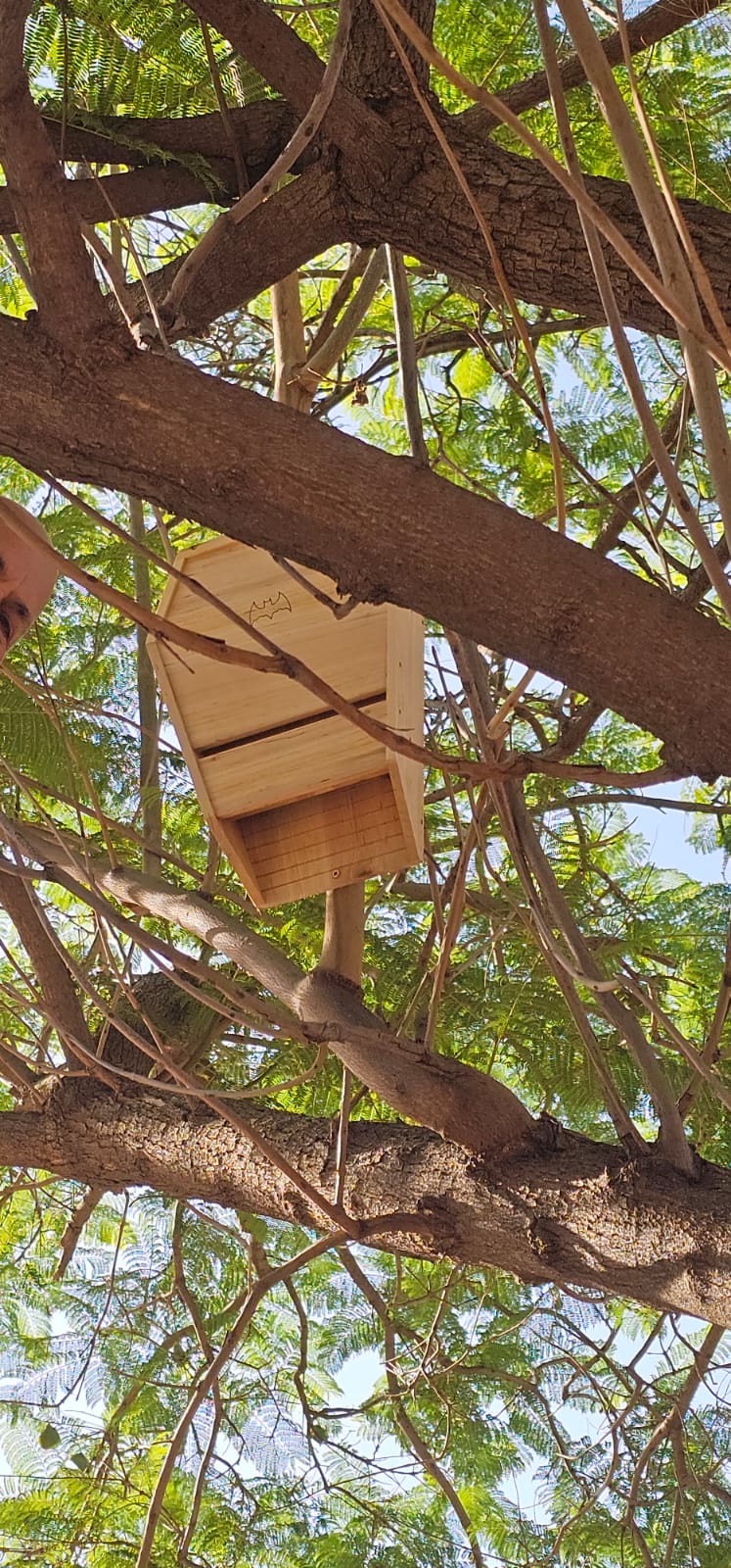 עיריית קריית אונו עם פרוייקט הדברה ביולוגית חדש