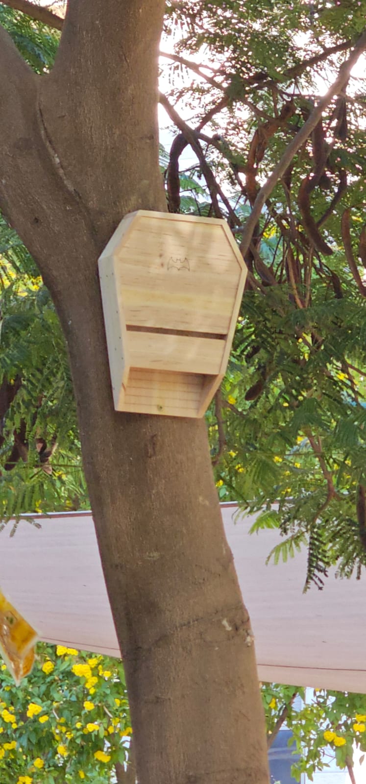 עיריית קריית אונו עם פרוייקט הדברה ביולוגית חדש