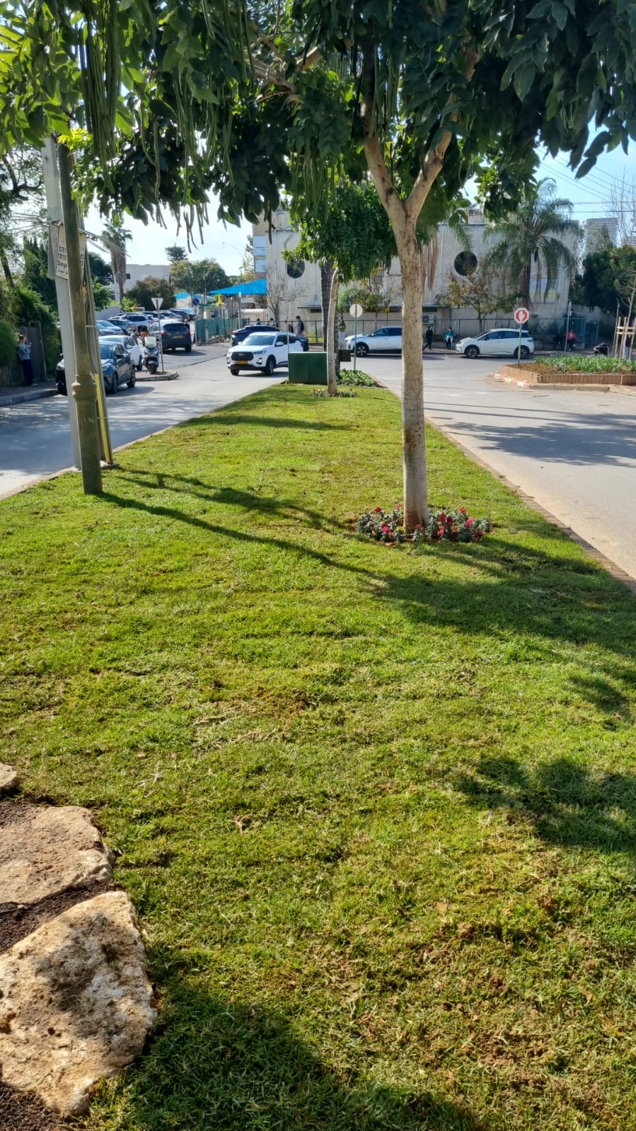 המרחב הציבורי סביב בית ספר ניר