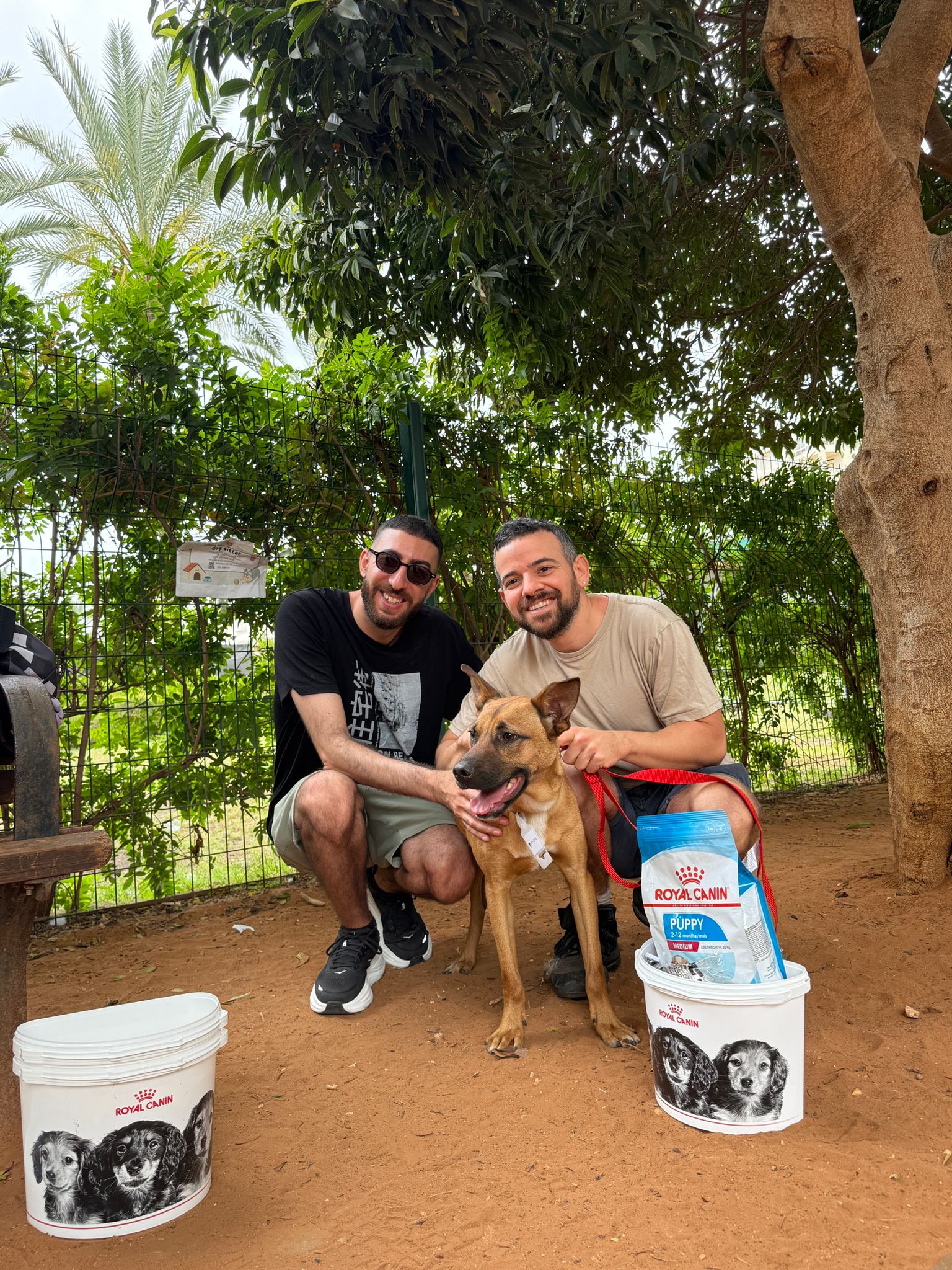 הצלחה מרגשת ביום האימוץ: 4 כלבים מצאו בית חם ואוהב