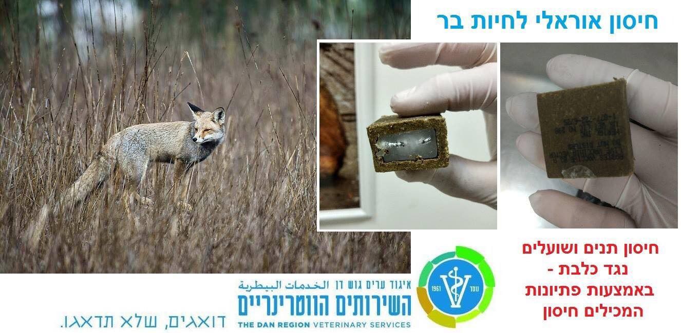 פיזור פיתיונות לחיסון חיות בר (תנים, שועלים וכו') נגד מחלת הכלבת.