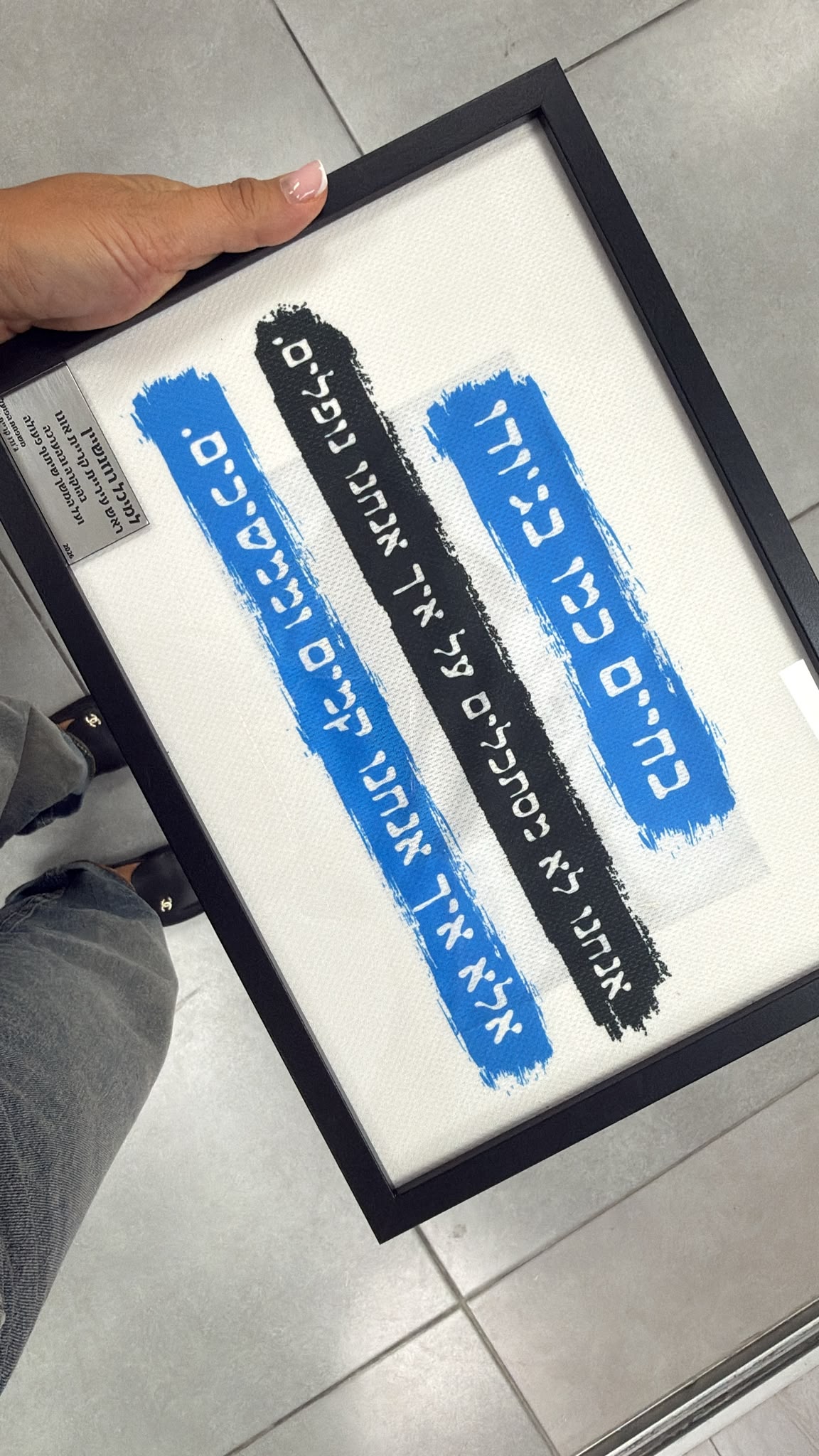 שנה של נחישות, הישגים וגאווה: מועדון הג׳ודו העירוני סיכם עונה 